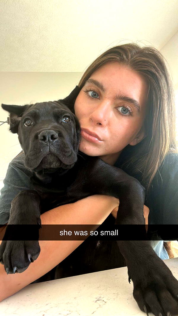 mckinley_1 image ~ Altpins