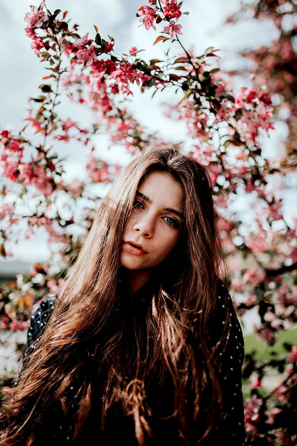 mckinley_1 image ~ Altpins