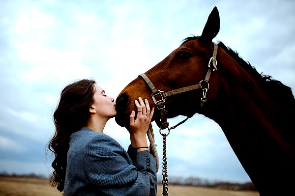 mckinley_1 image ~ Altpins