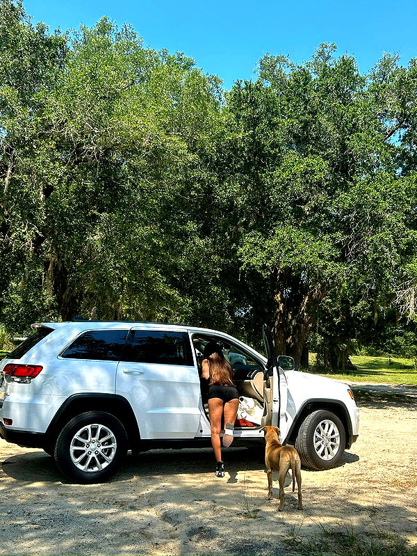 mckinley_1 image ~ Altpins