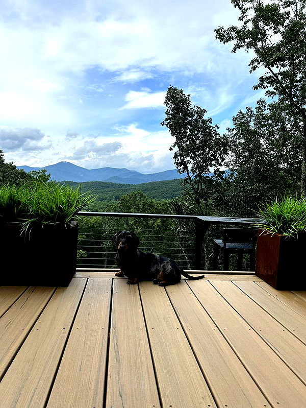 mckinley_1 image ~ Altpins