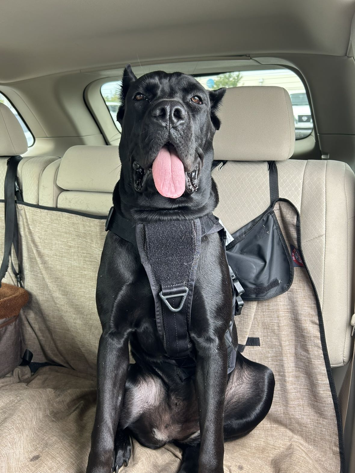 mckinley_1 snapchat image archive image