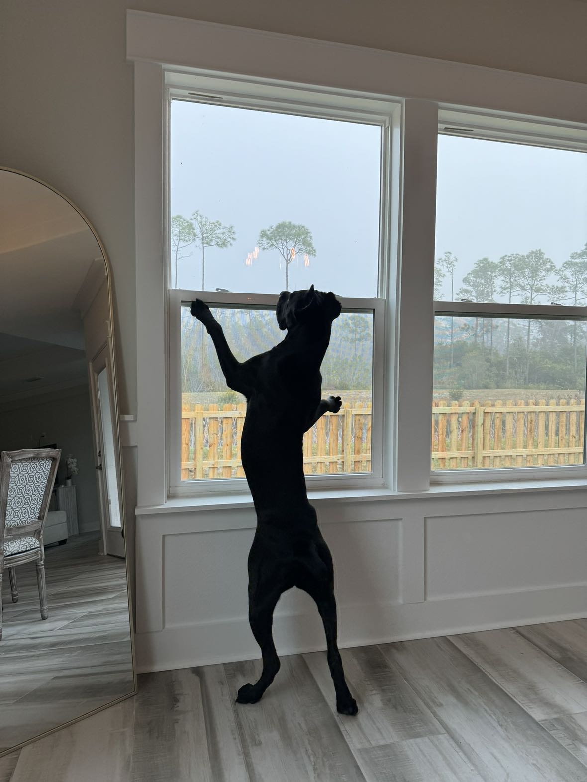 mckinley_1 snapchat image archive image