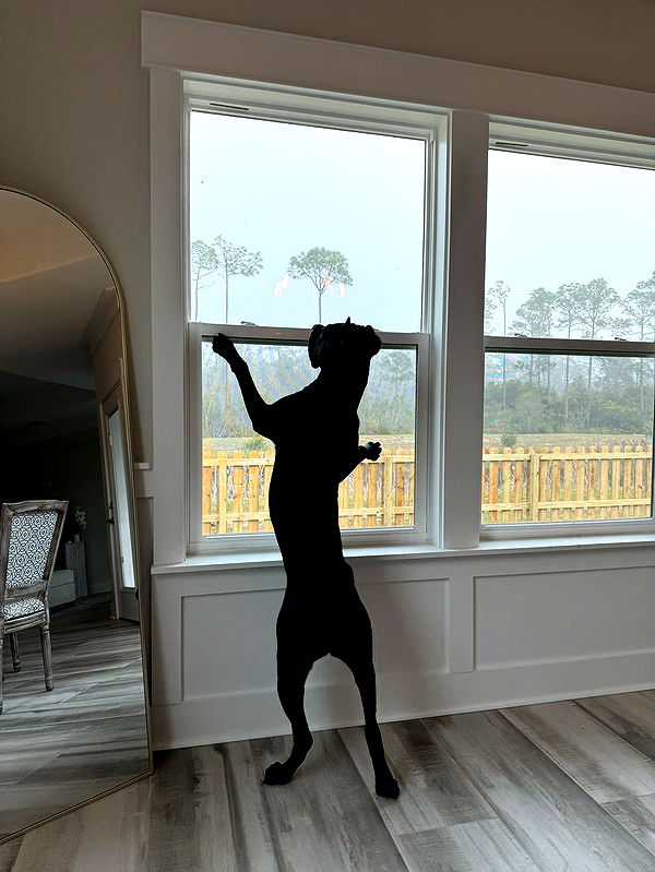 mckinley_1 image ~ Altpins