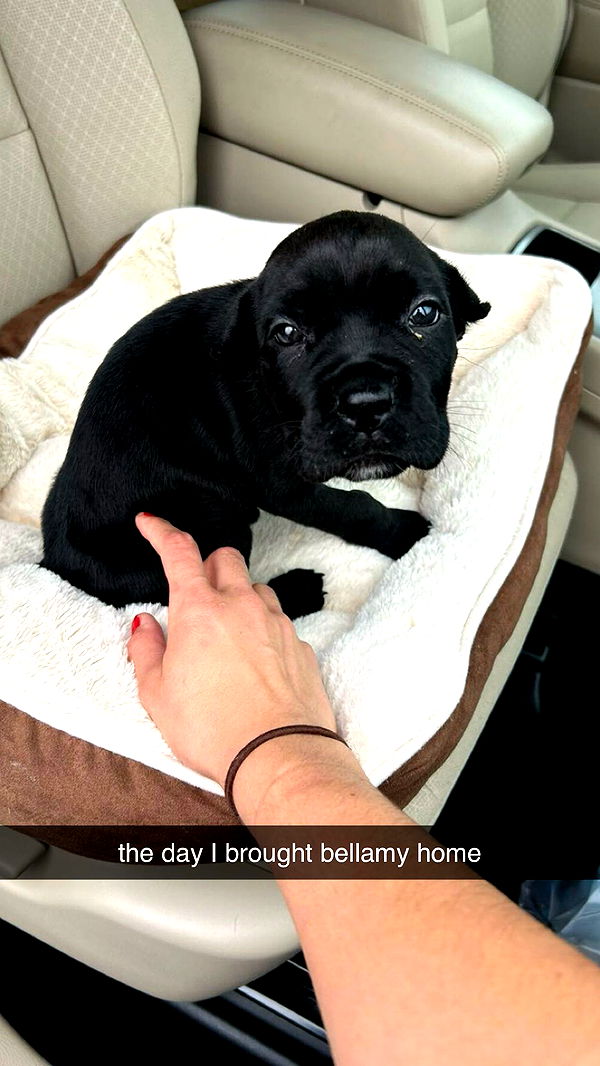 mckinley_1 image ~ Altpins