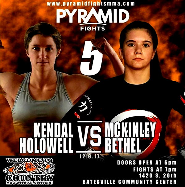 mckinley_1 image ~ Altpins