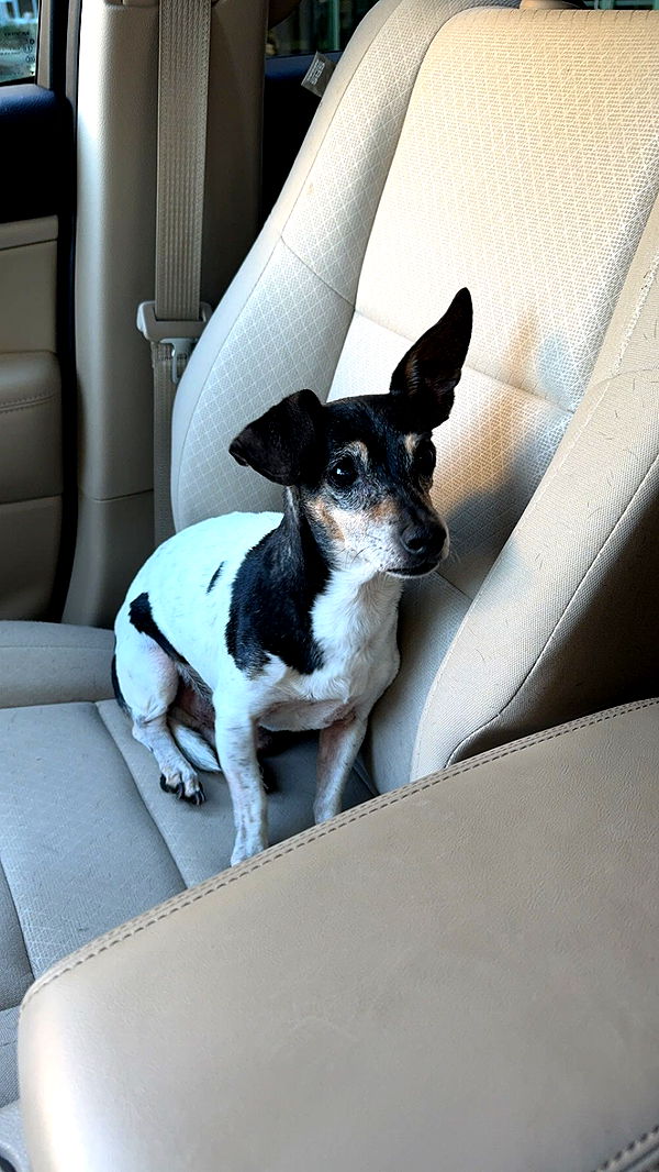 mckinley_1 image ~ Altpins