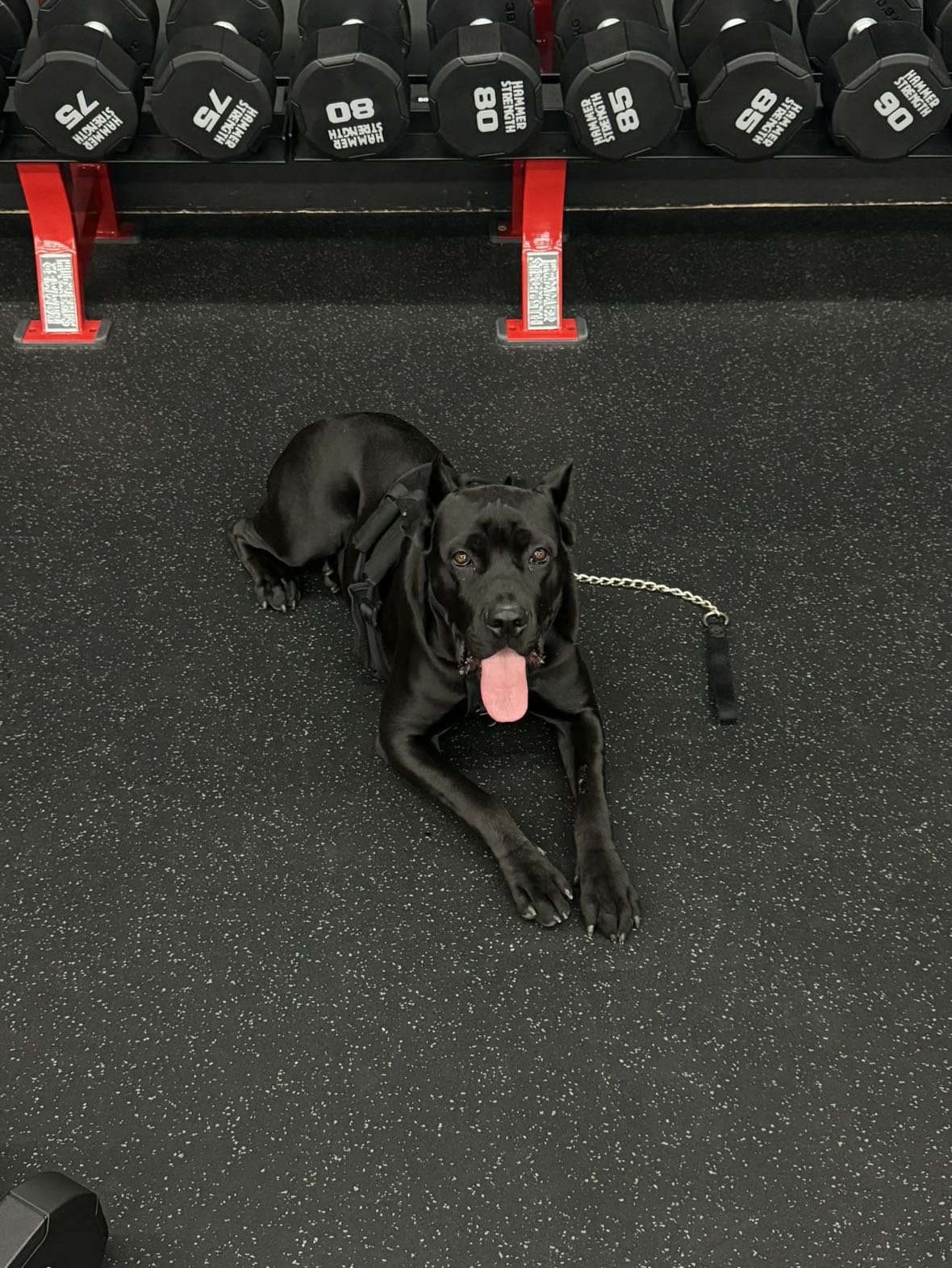 mckinley_1 snapchat image archive image