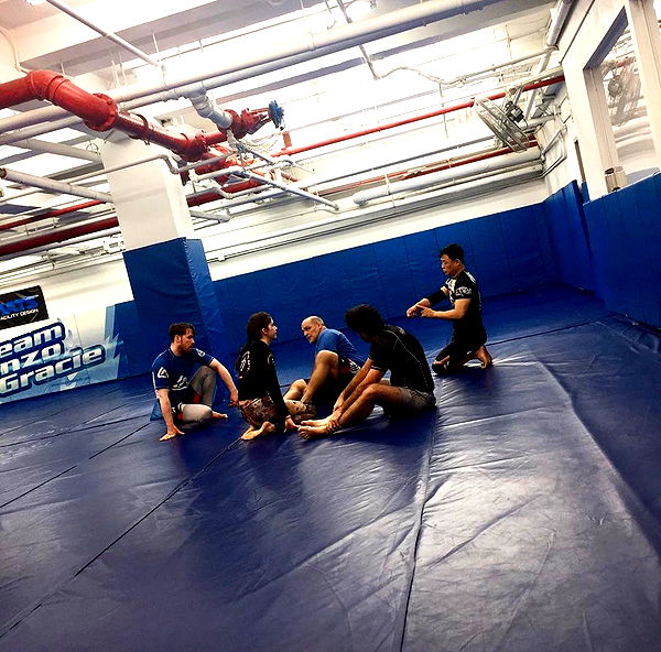 mckinley_1 image ~ Altpins