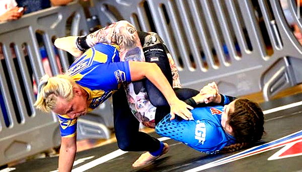 mckinley_1 image ~ Altpins