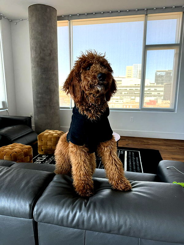 mckinley_1 image ~ Altpins