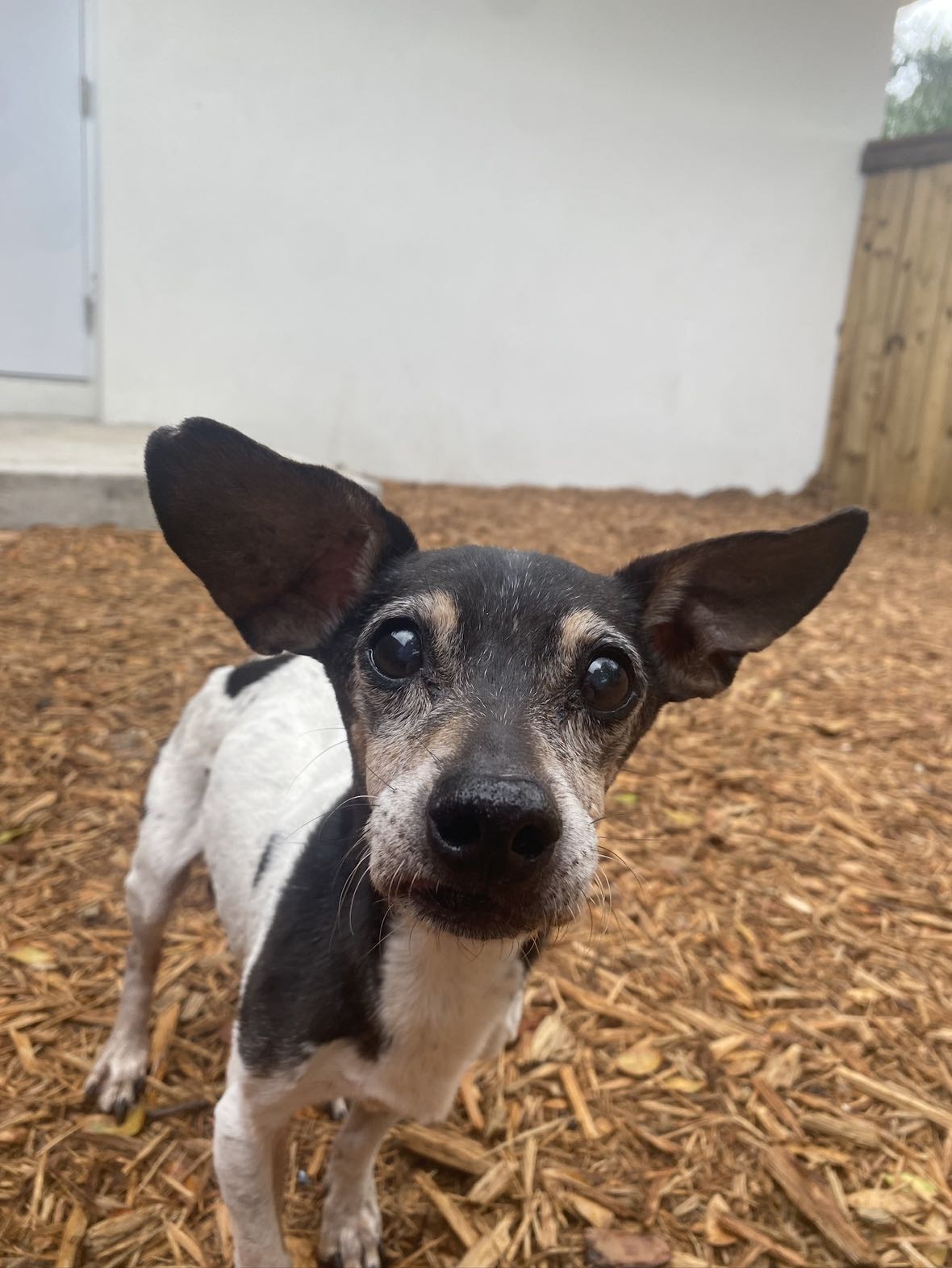 mckinley_1 snapchat image archive image