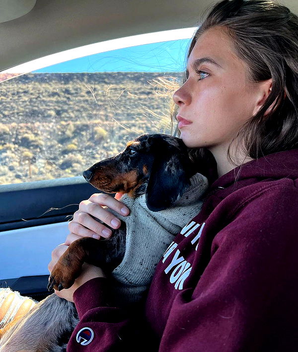 mckinley_1 image ~ Altpins