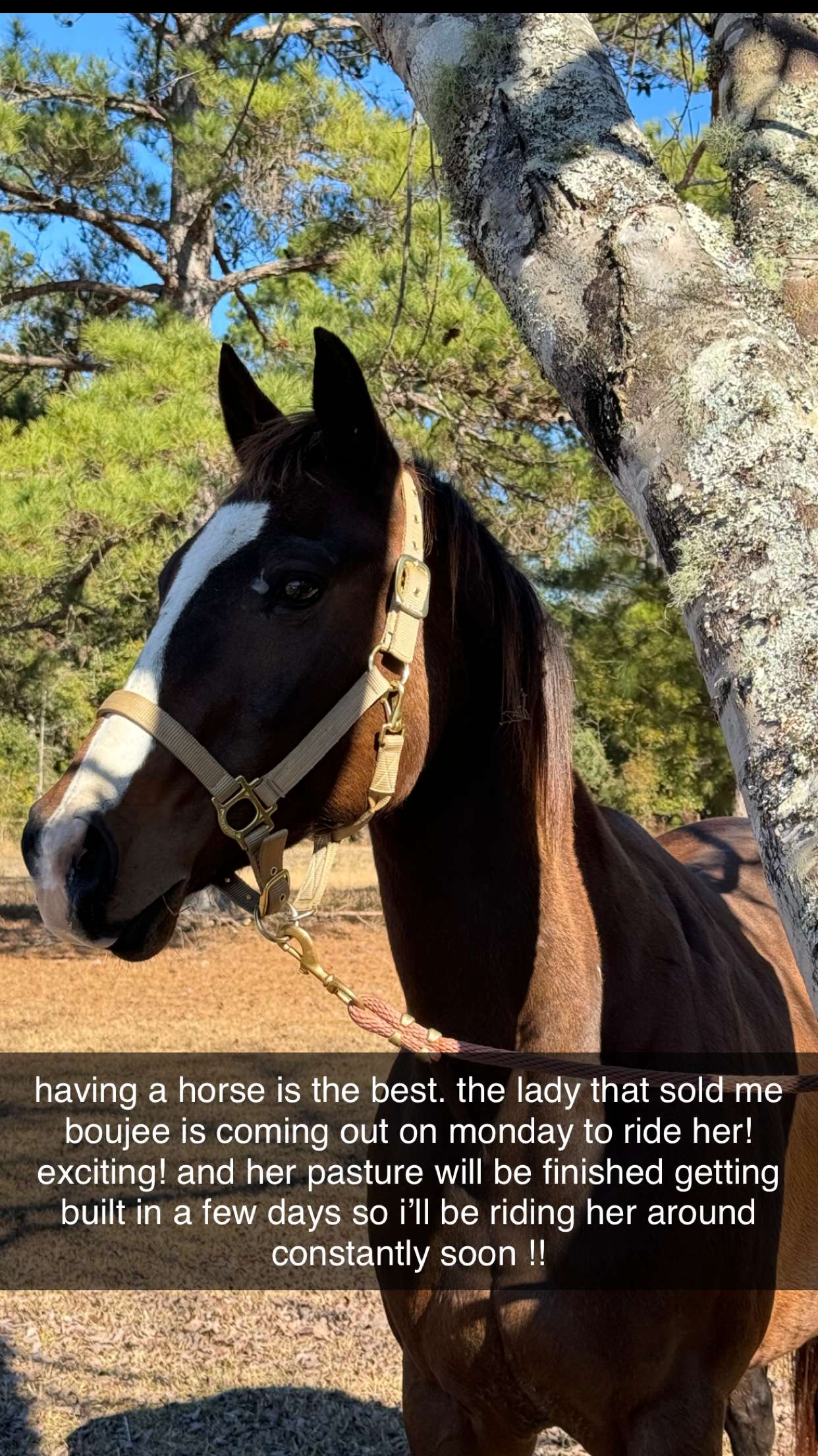 mckinley_1 snapchat image archive image