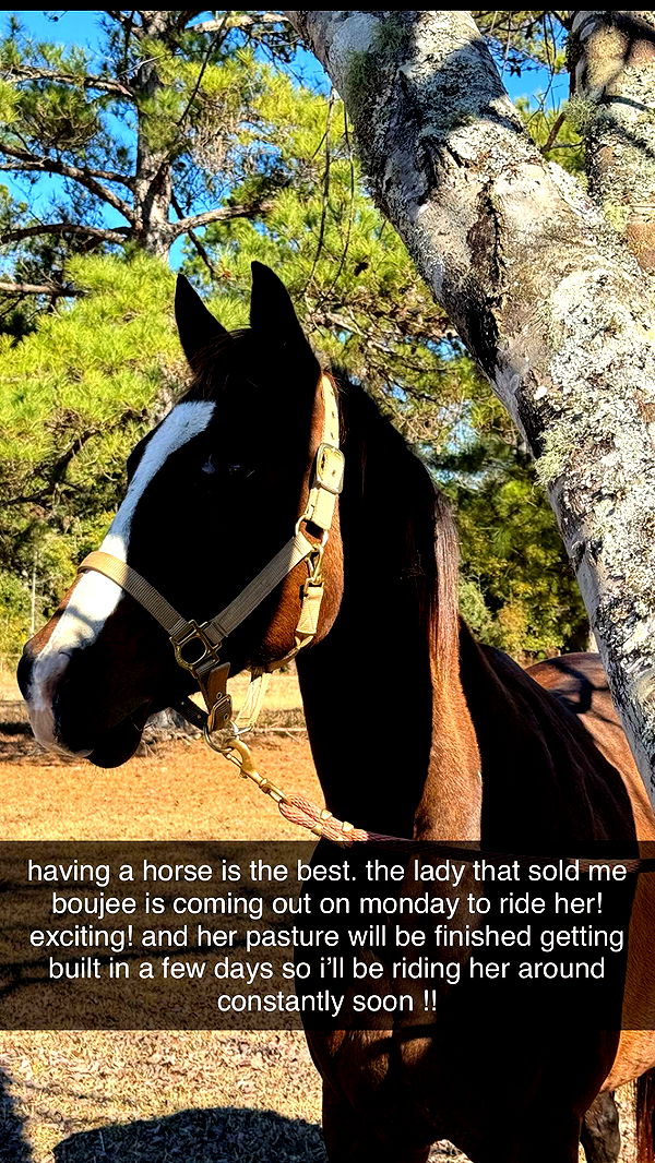 mckinley_1 image ~ Altpins