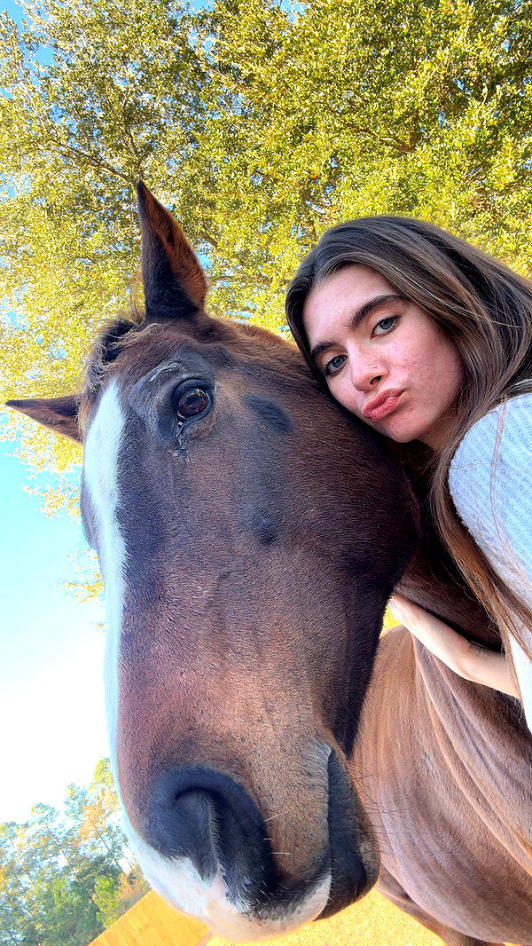 mckinley_1 image ~ Altpins