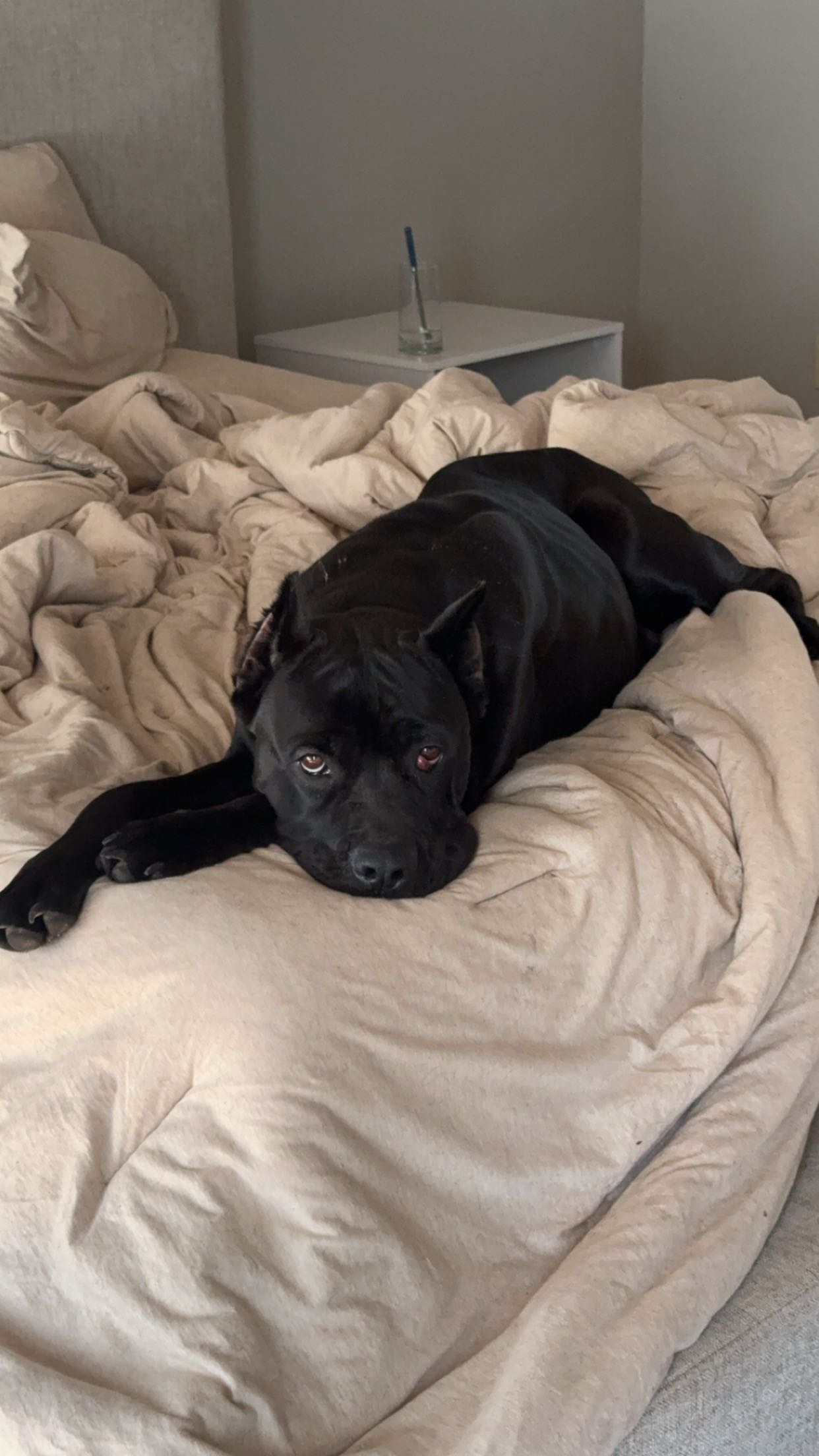 mckinley_1 snapchat image archive image