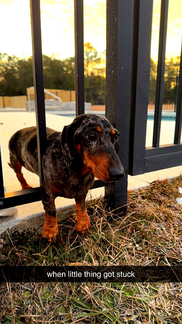 mckinley_1 image ~ Altpins