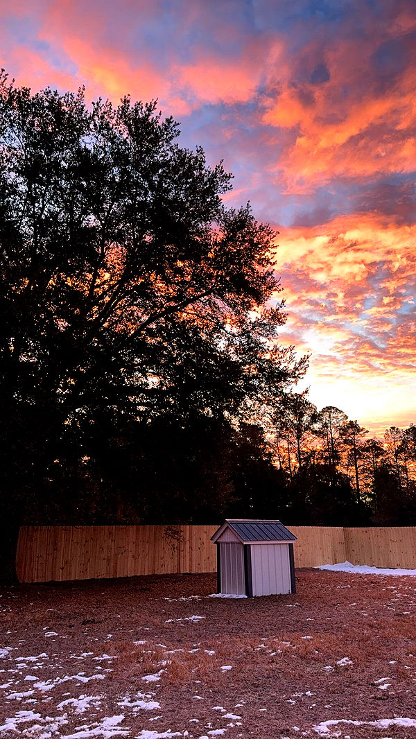 mckinley_1 image ~ Altpins