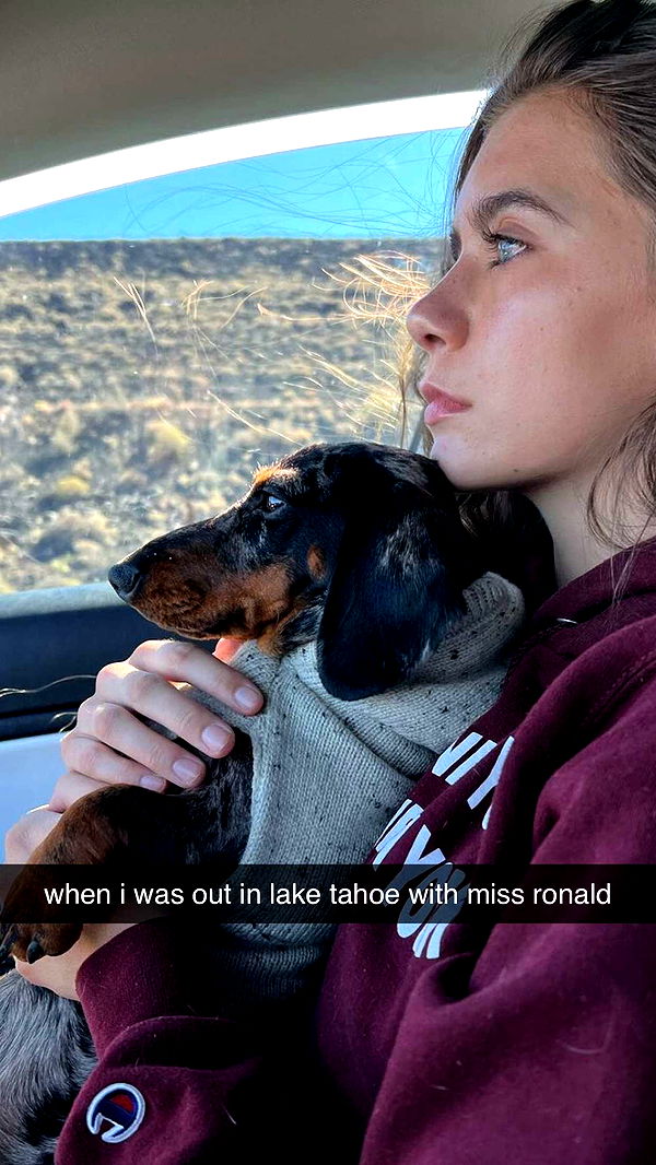 mckinley_1 image ~ Altpins