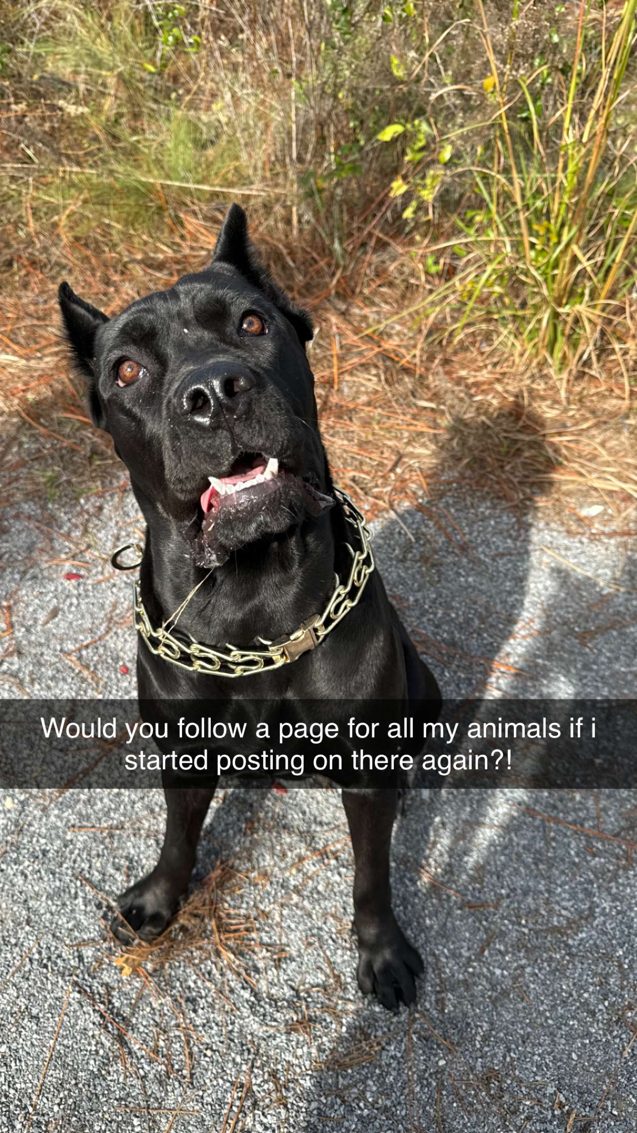 mckinley_1 snapchat image archive image