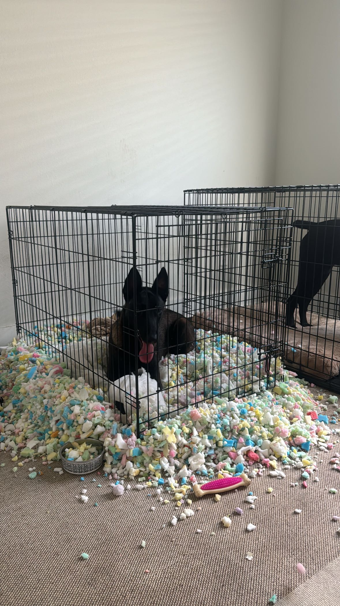 mckinley_1 snapchat image archive image