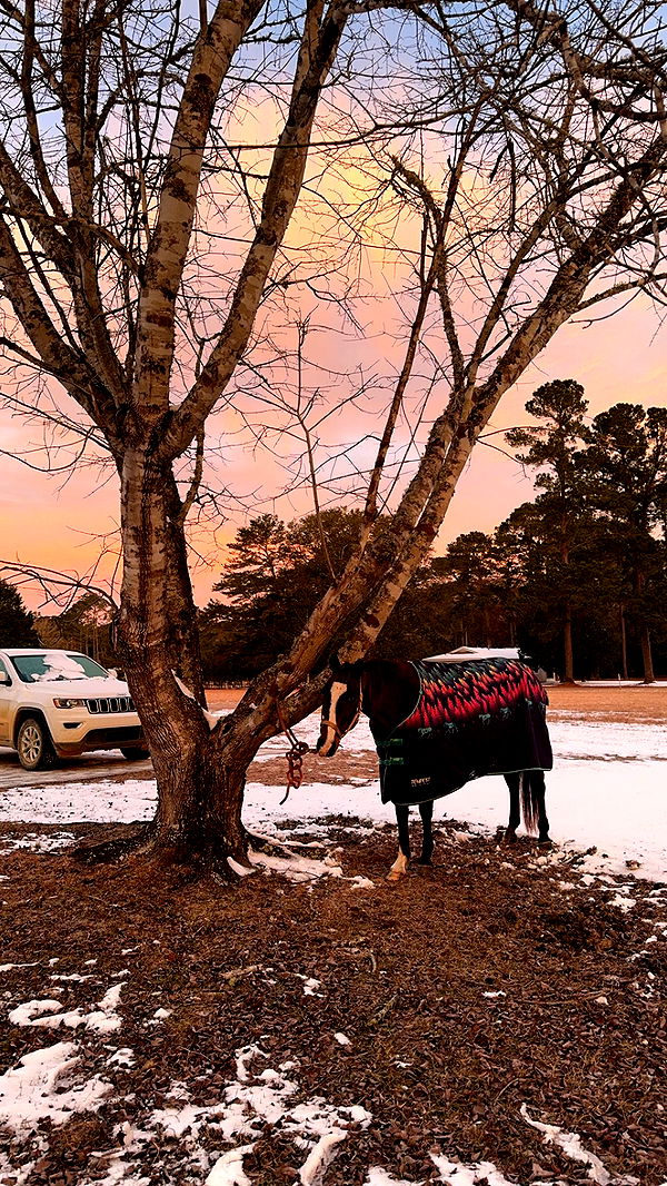 mckinley_1 image ~ Altpins