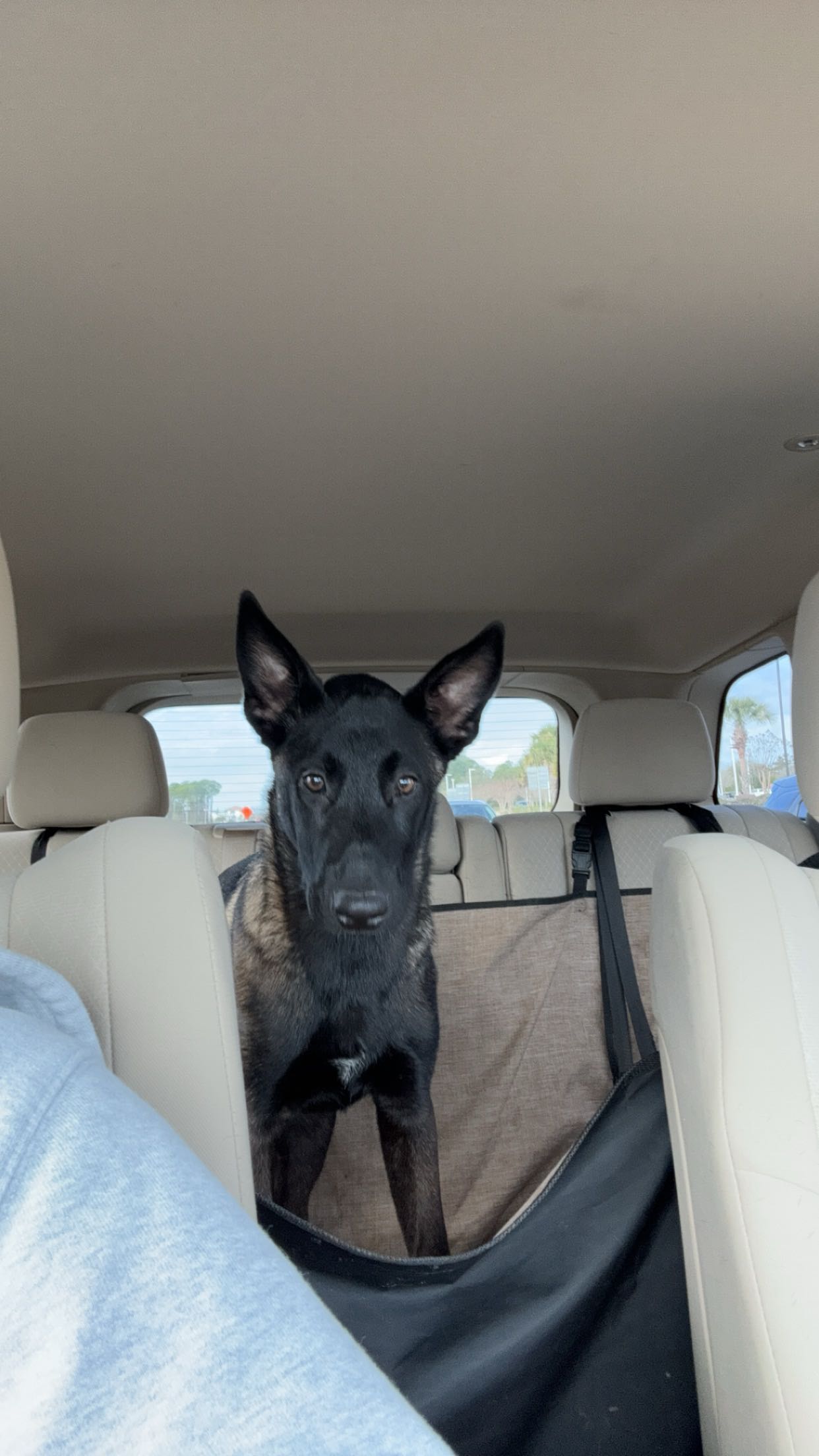 mckinley_1 snapchat image archive image