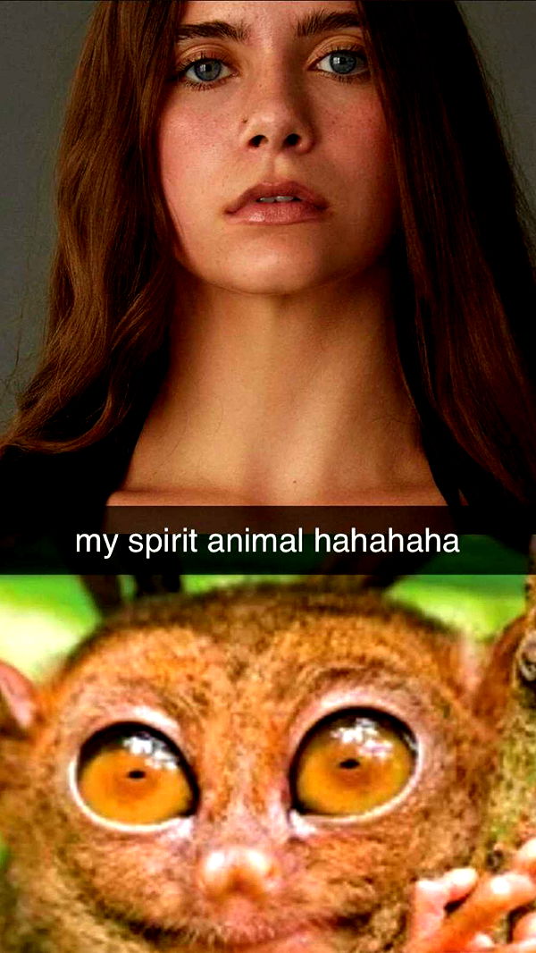 mckinley_1 image ~ Altpins