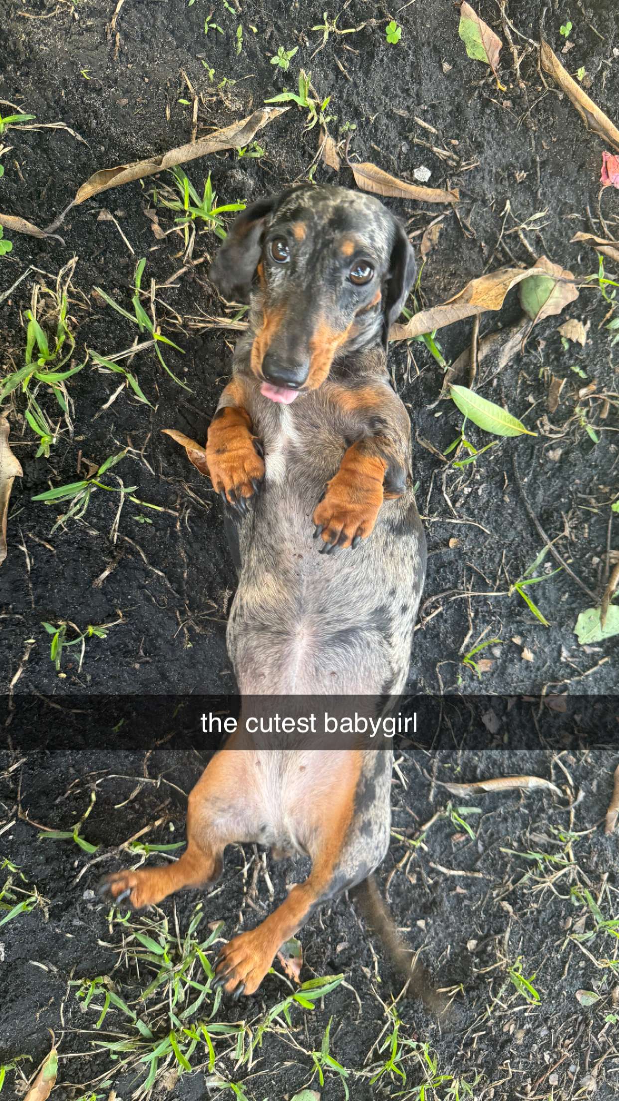 mckinley_1 snapchat image archive image