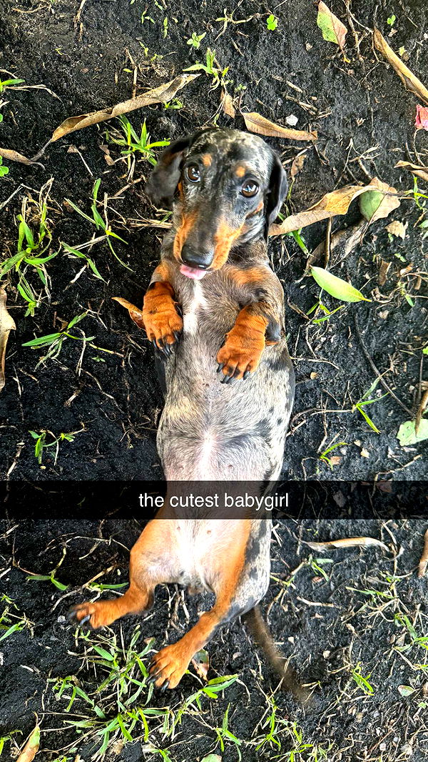 mckinley_1 image ~ Altpins