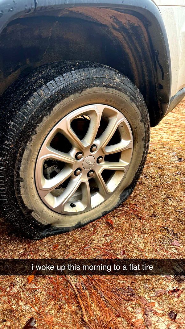 mckinley_1 image ~ Altpins