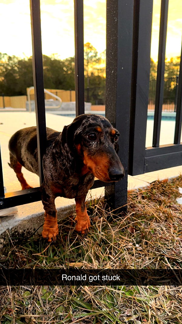 mckinley_1 image ~ Altpins