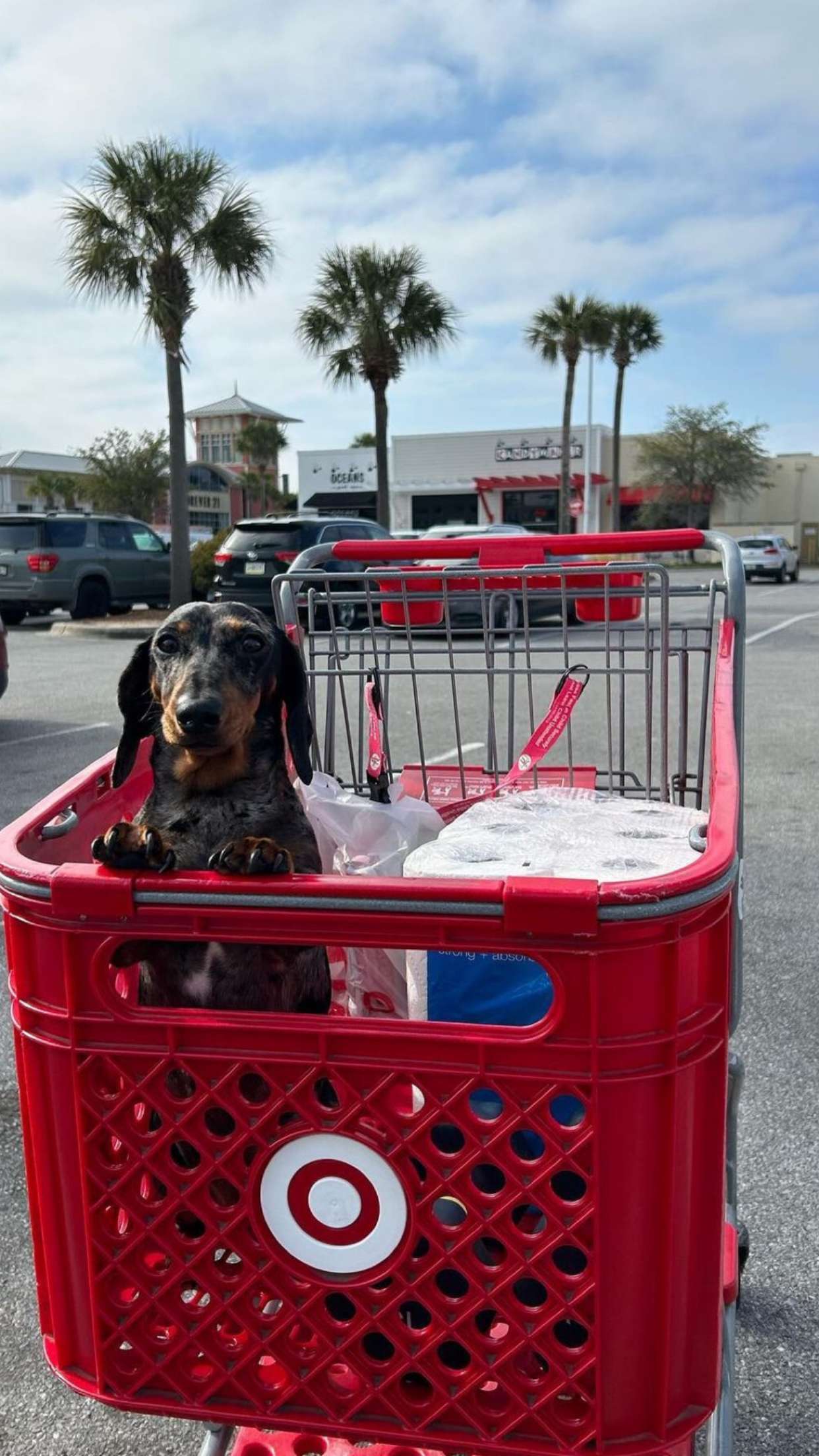 mckinley_1 snapchat image archive image