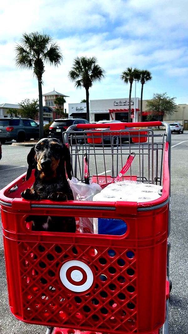 mckinley_1 image ~ Altpins