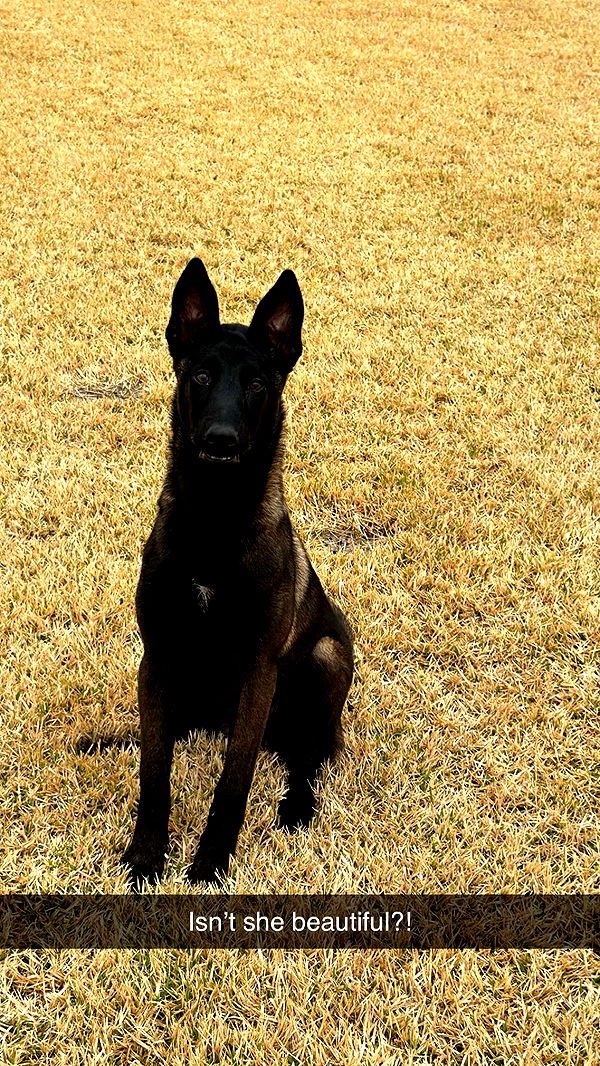 mckinley_1 image ~ Altpins