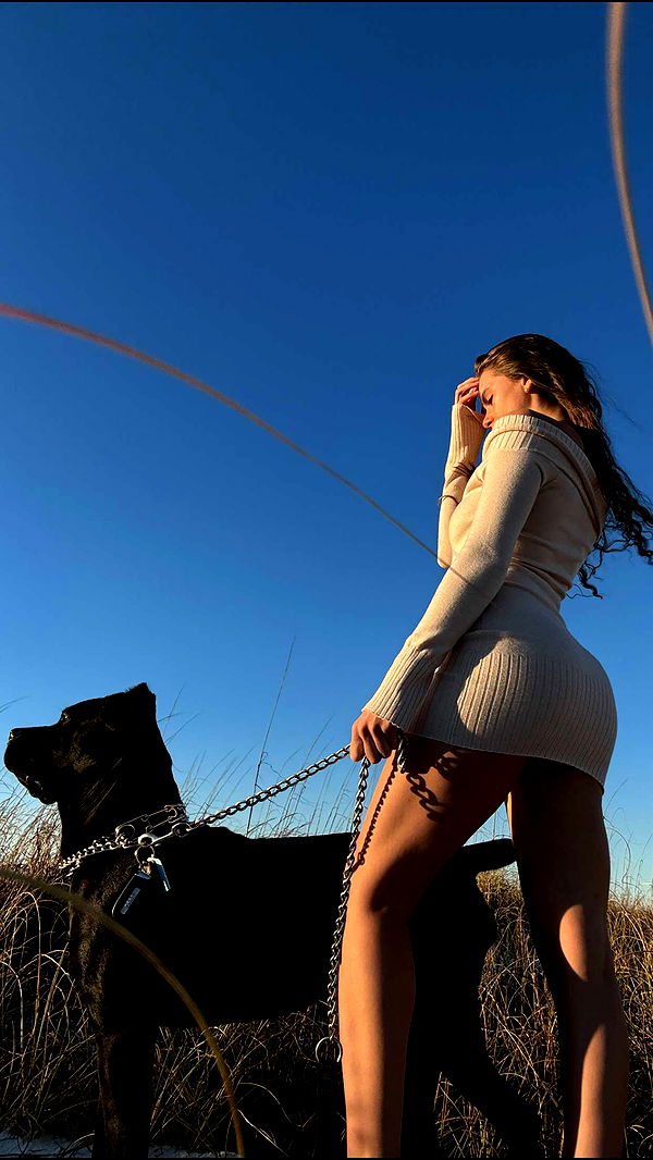 mckinley_1 image ~ Altpins