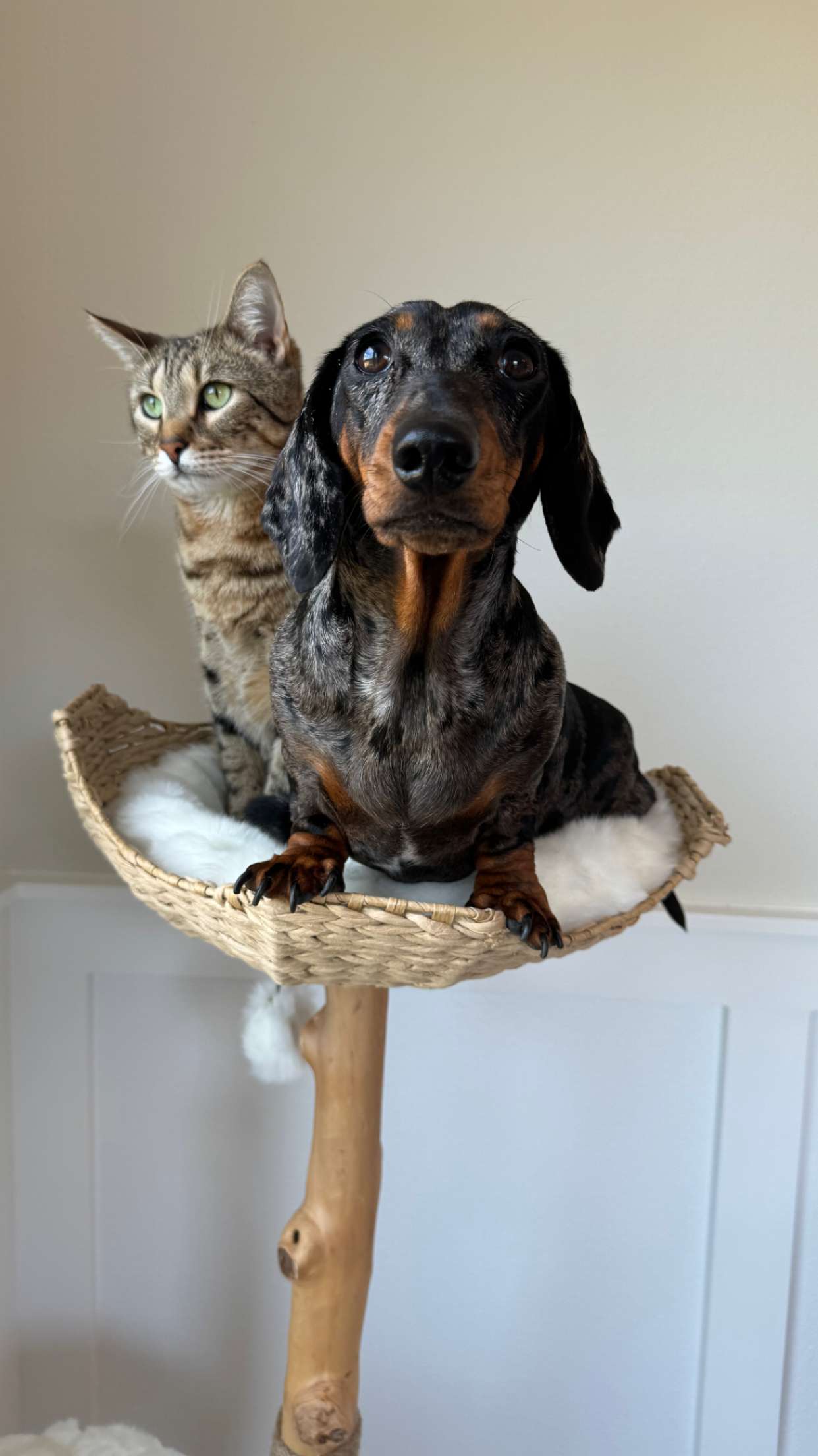 mckinley_1 snapchat image archive image