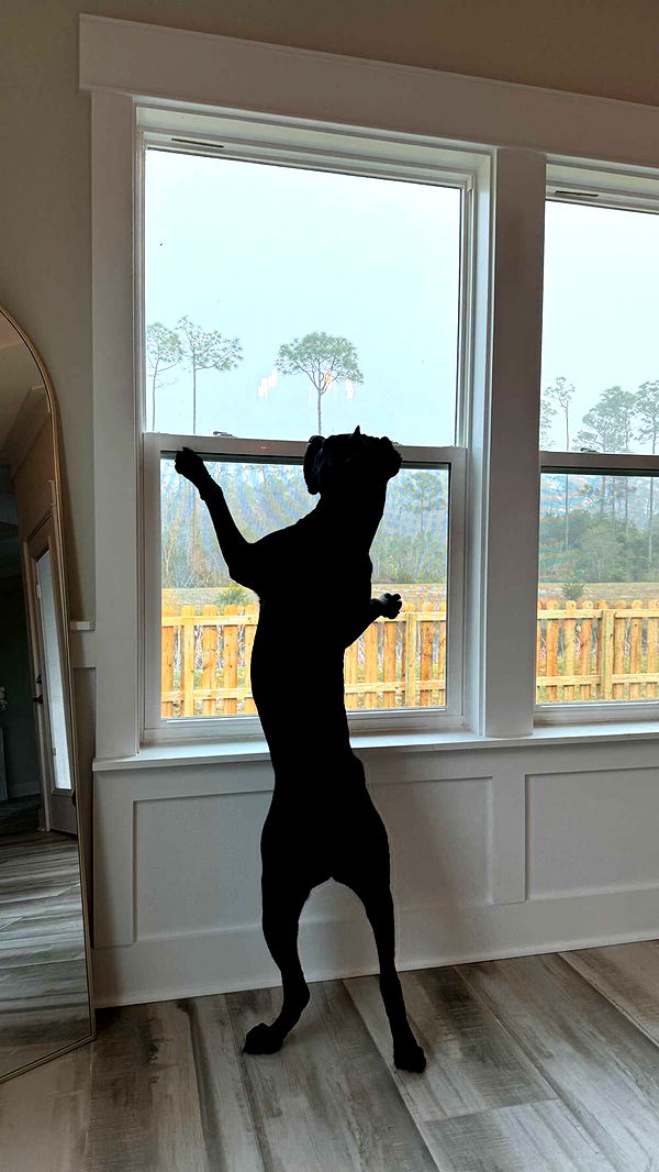 mckinley_1 image ~ Altpins