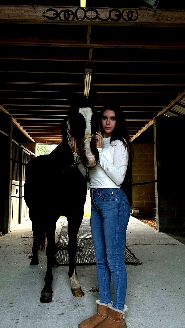 mckinley_1 image ~ Altpins