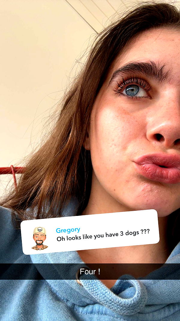 mckinley_1 image ~ Altpins