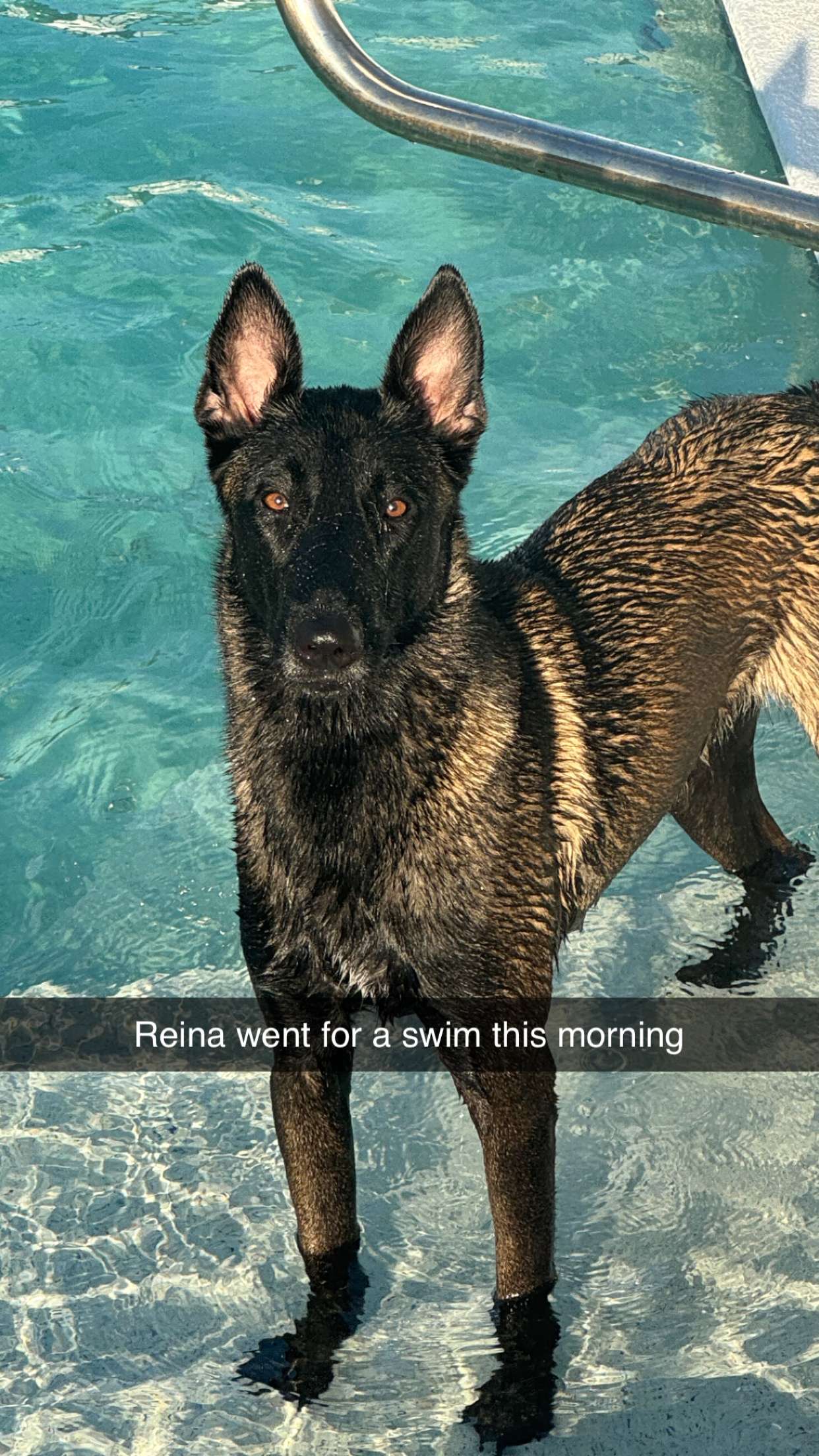 mckinley_1 snapchat image archive image