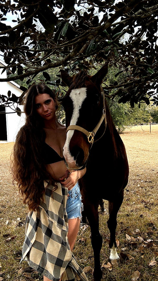 mckinley_1 image ~ Altpins