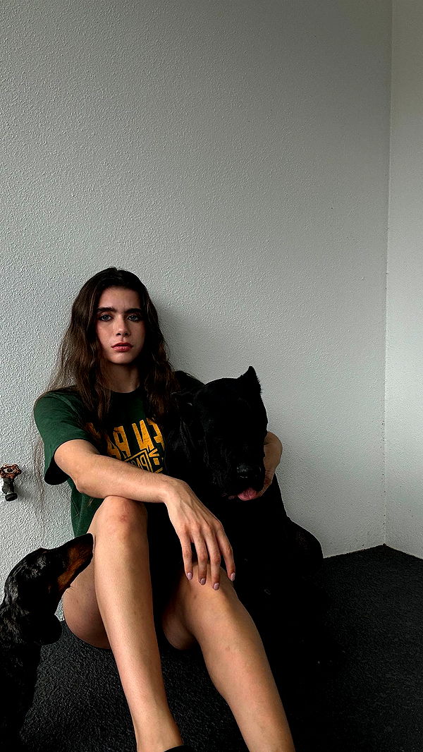 mckinley_1 image ~ Altpins