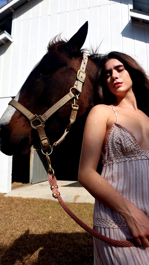 mckinley_1 image ~ Altpins