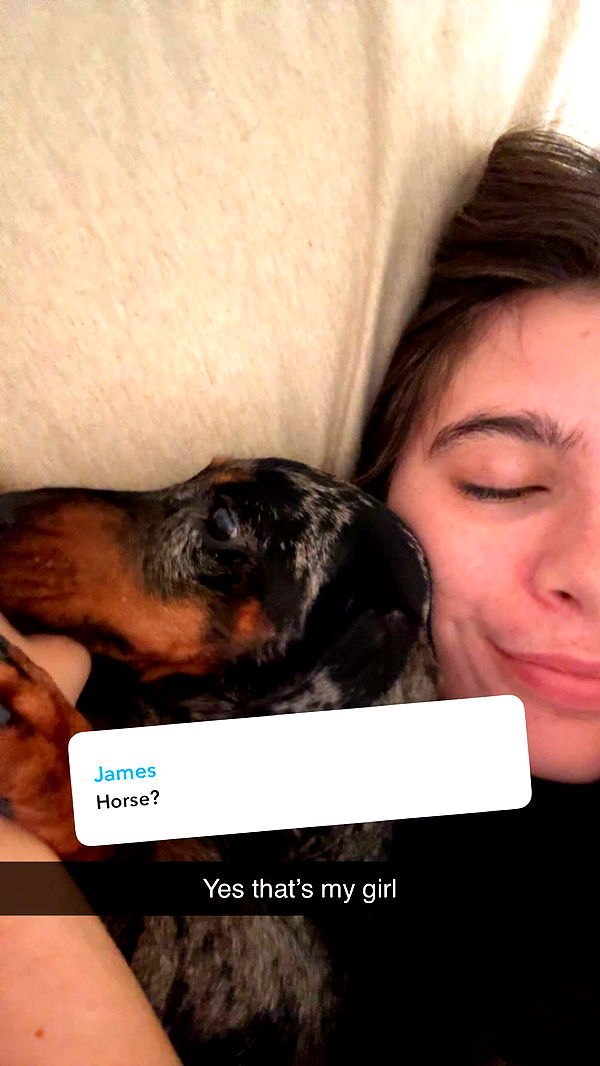 mckinley_1 image ~ Altpins