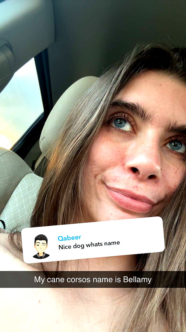 mckinley_1 image ~ Altpins