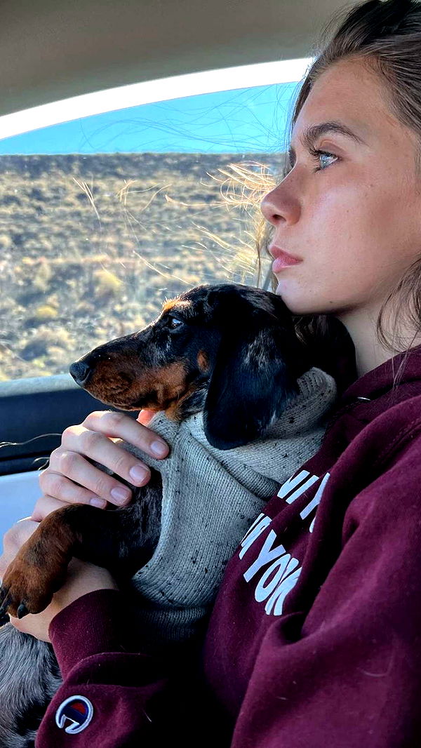 mckinley_1 image ~ Altpins