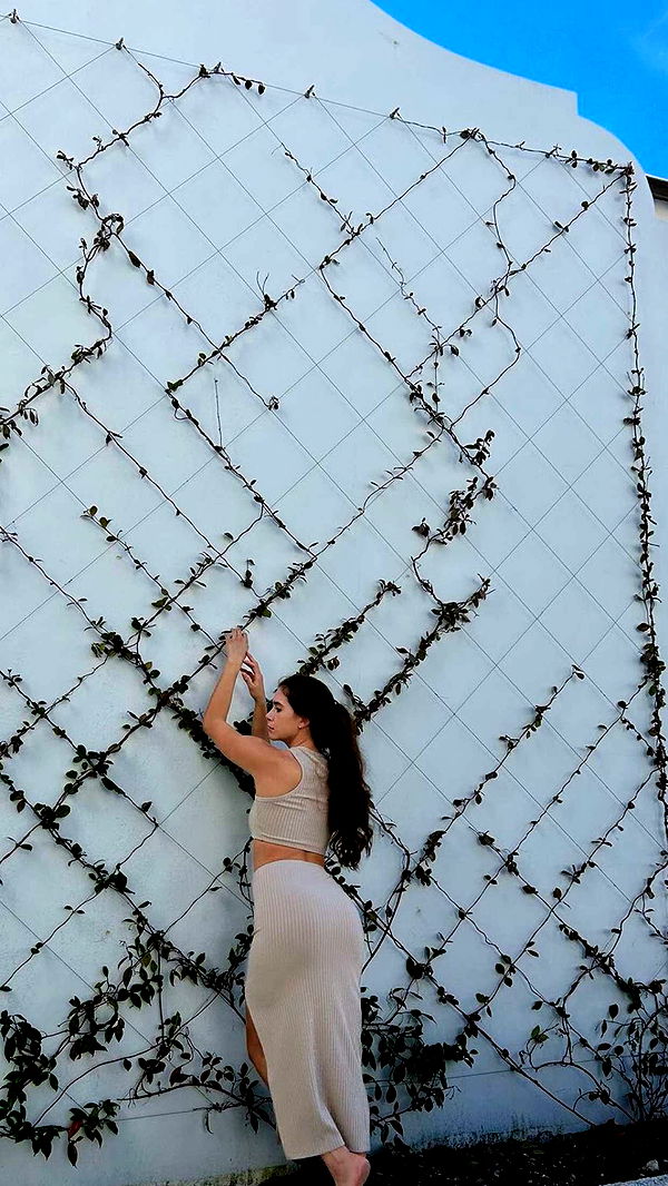 mckinley_1 image ~ Altpins