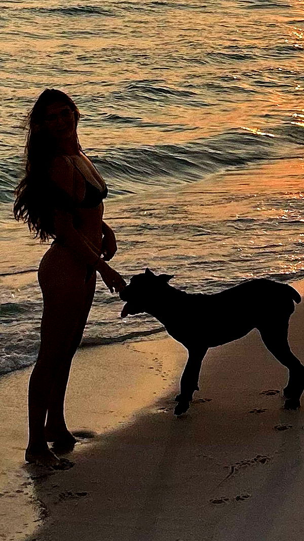 mckinley_1 image ~ Altpins